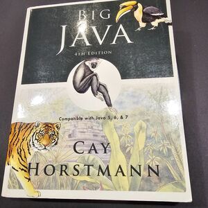 Big Java 4th Edition for Java 5, 6, 7 Cay Horstmann Paperback ISBN 9780470509487